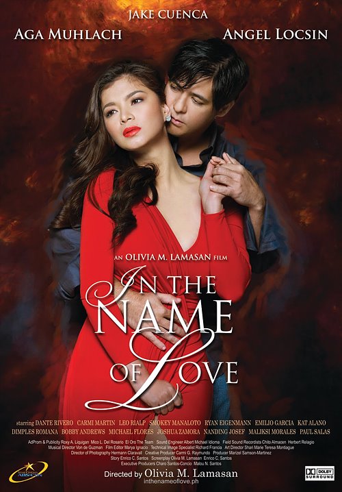 사랑의 이름으로(In the Name of Love, 2011)